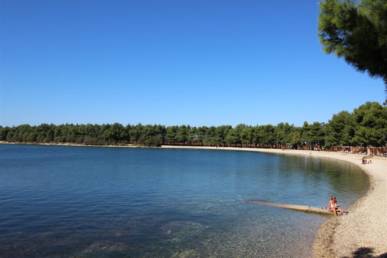 Gianna A4+2 Lägenhet Novigrad Istria Exteriör bild