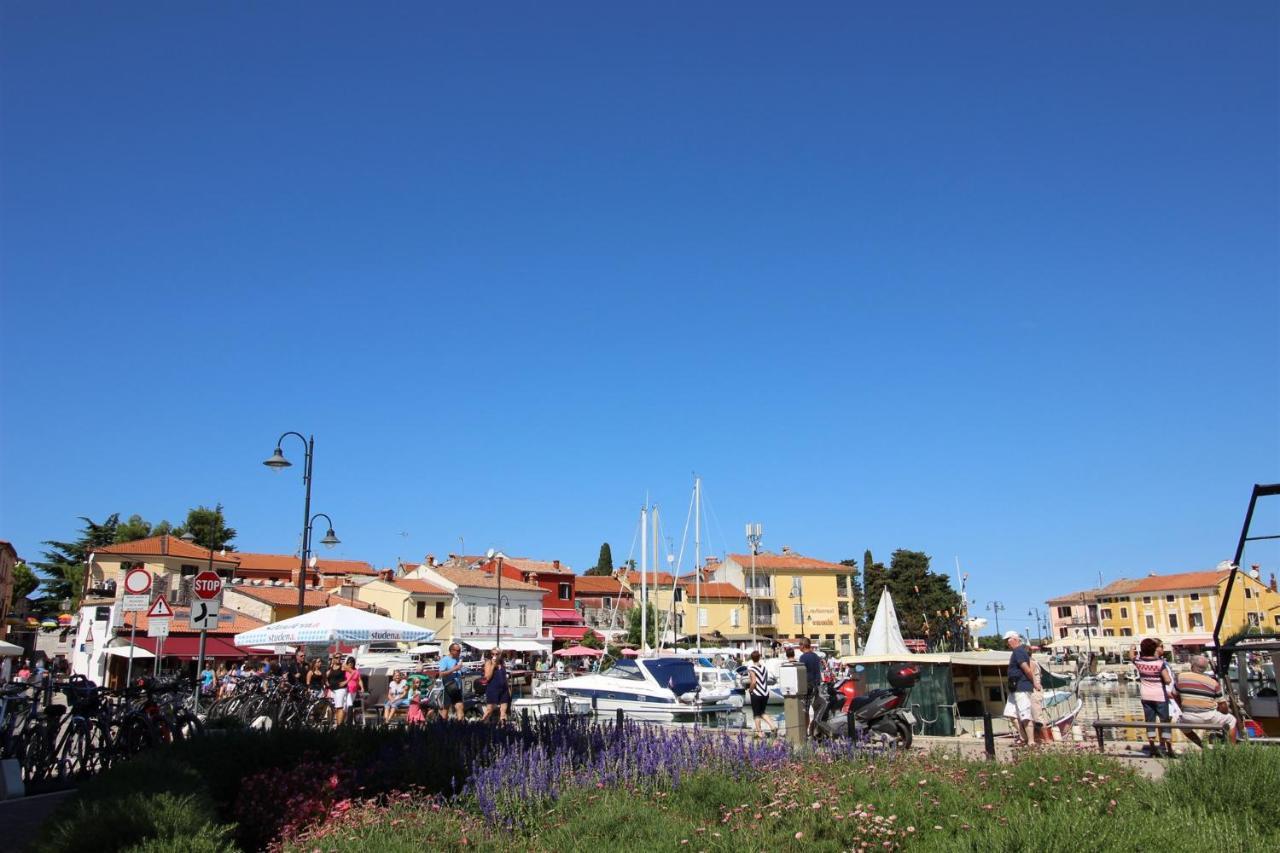 Gianna A4+2 Lägenhet Novigrad Istria Exteriör bild