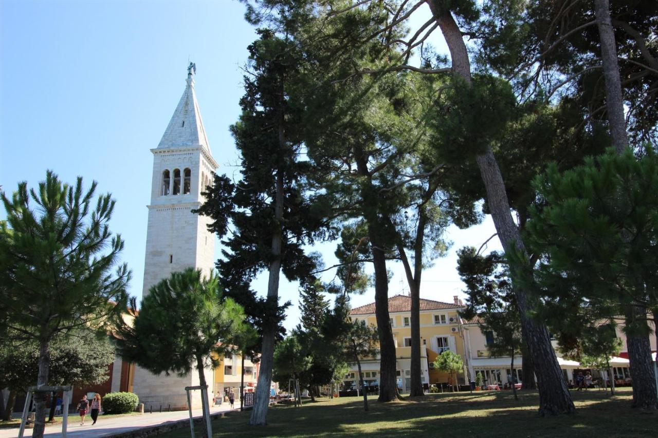 Gianna A4+2 Lägenhet Novigrad Istria Exteriör bild