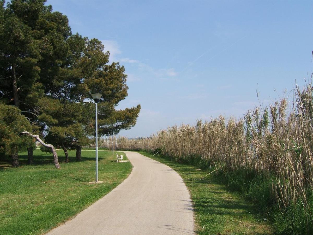 Gianna A4+2 Lägenhet Novigrad Istria Exteriör bild
