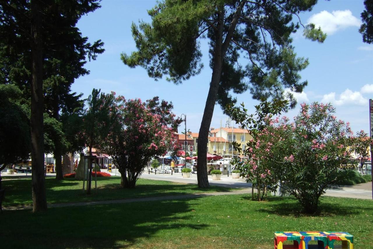 Gianna A4+2 Lägenhet Novigrad Istria Exteriör bild